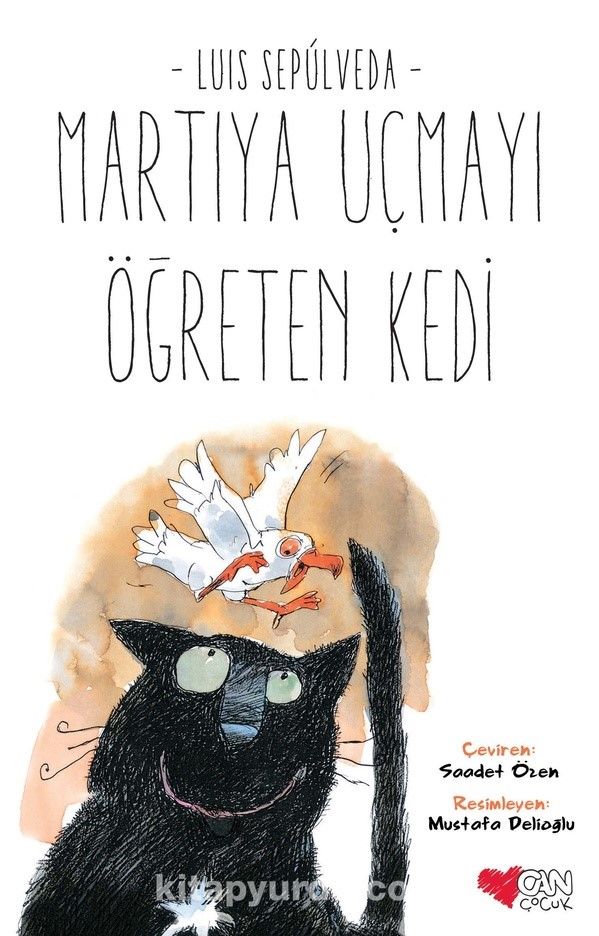 Martıya Uçmayı Öğreten Kedi