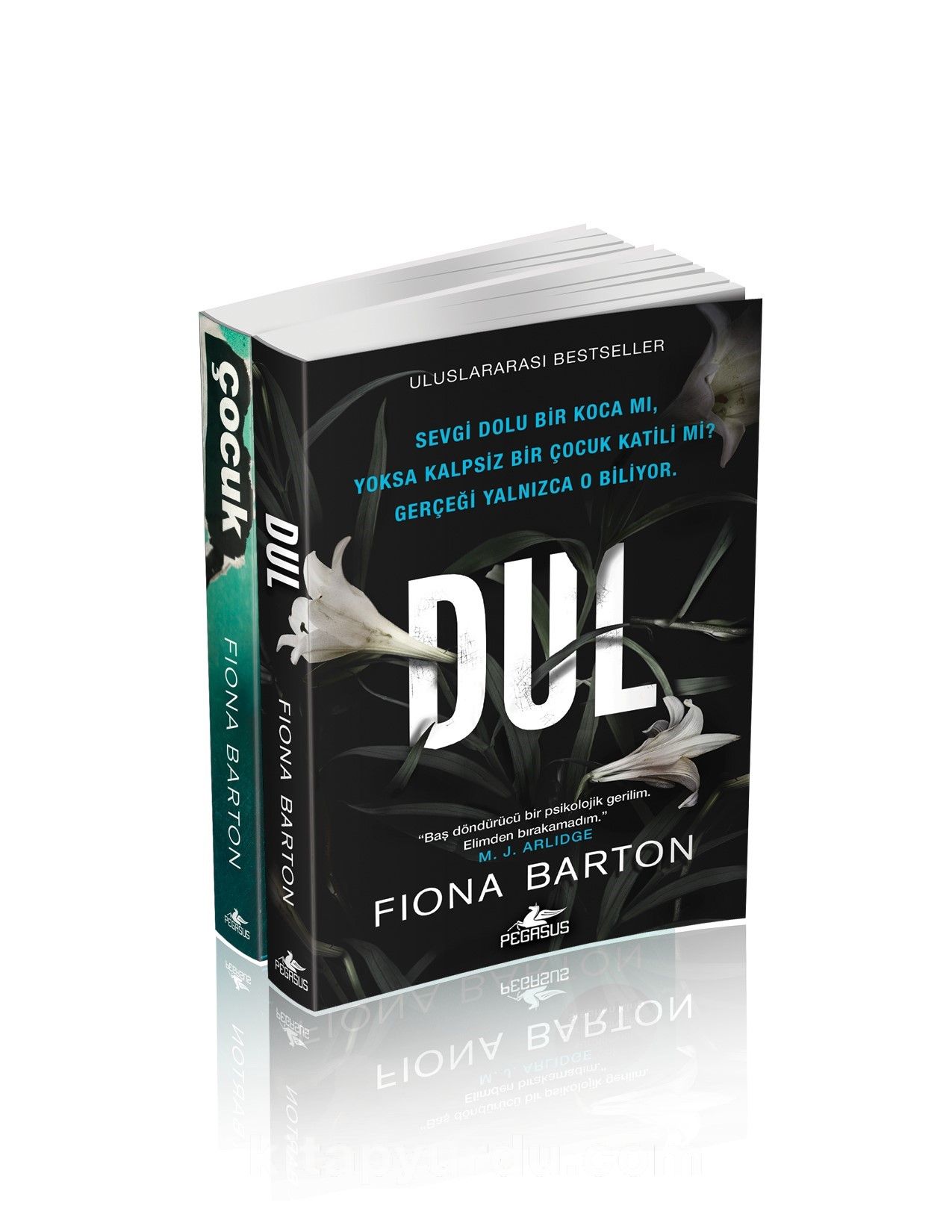 Fiona Barton Psikolojik Gerilim Kitapları Takım Set (2 Kitap)