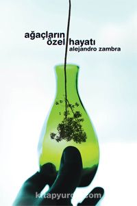 Ağaçların Özel Hayatı