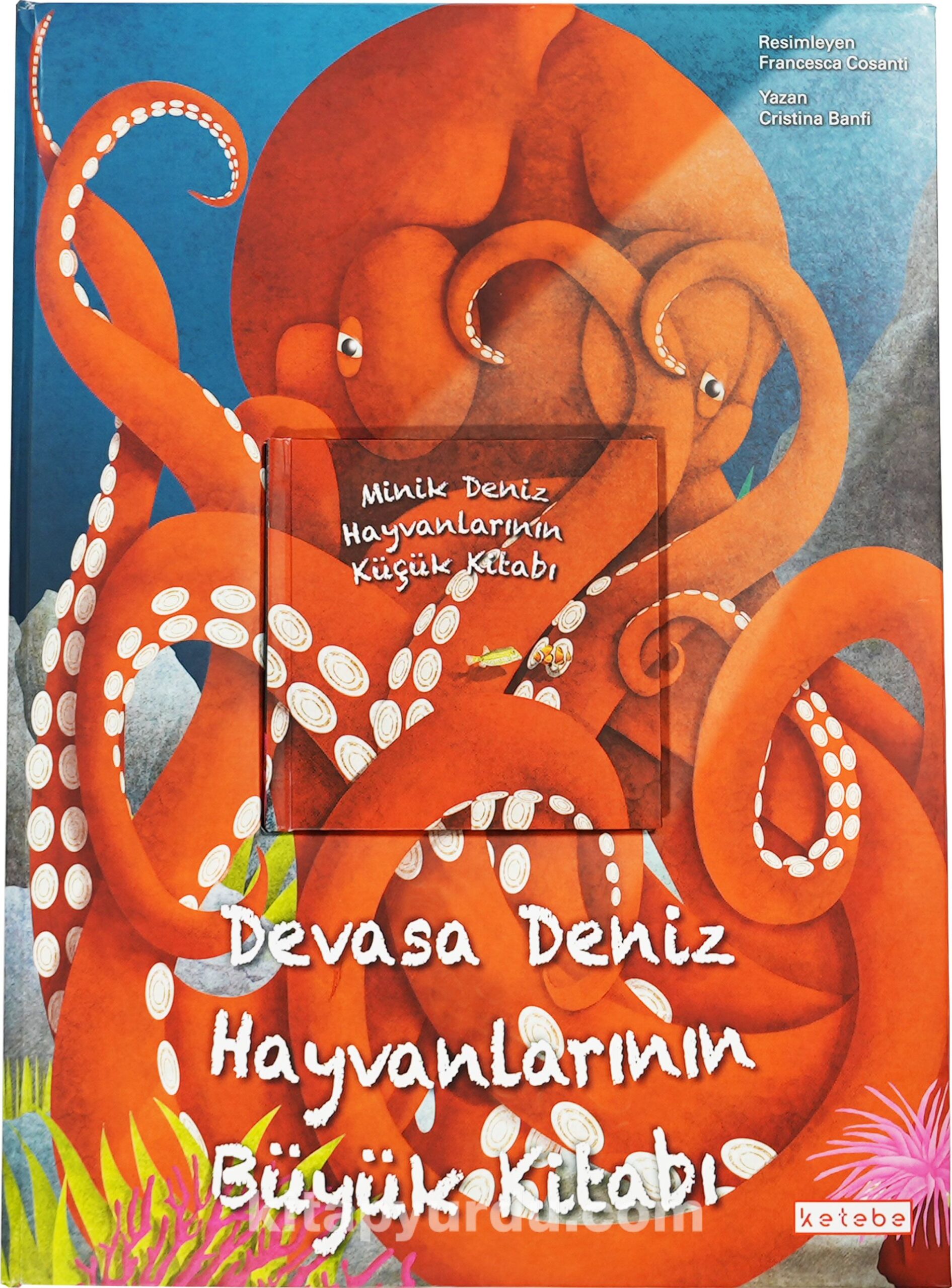 Devasa Deniz Hayvanlarının Büyük Kitabı & Minik Deniz Hayvanlarının Küçük Kitabı