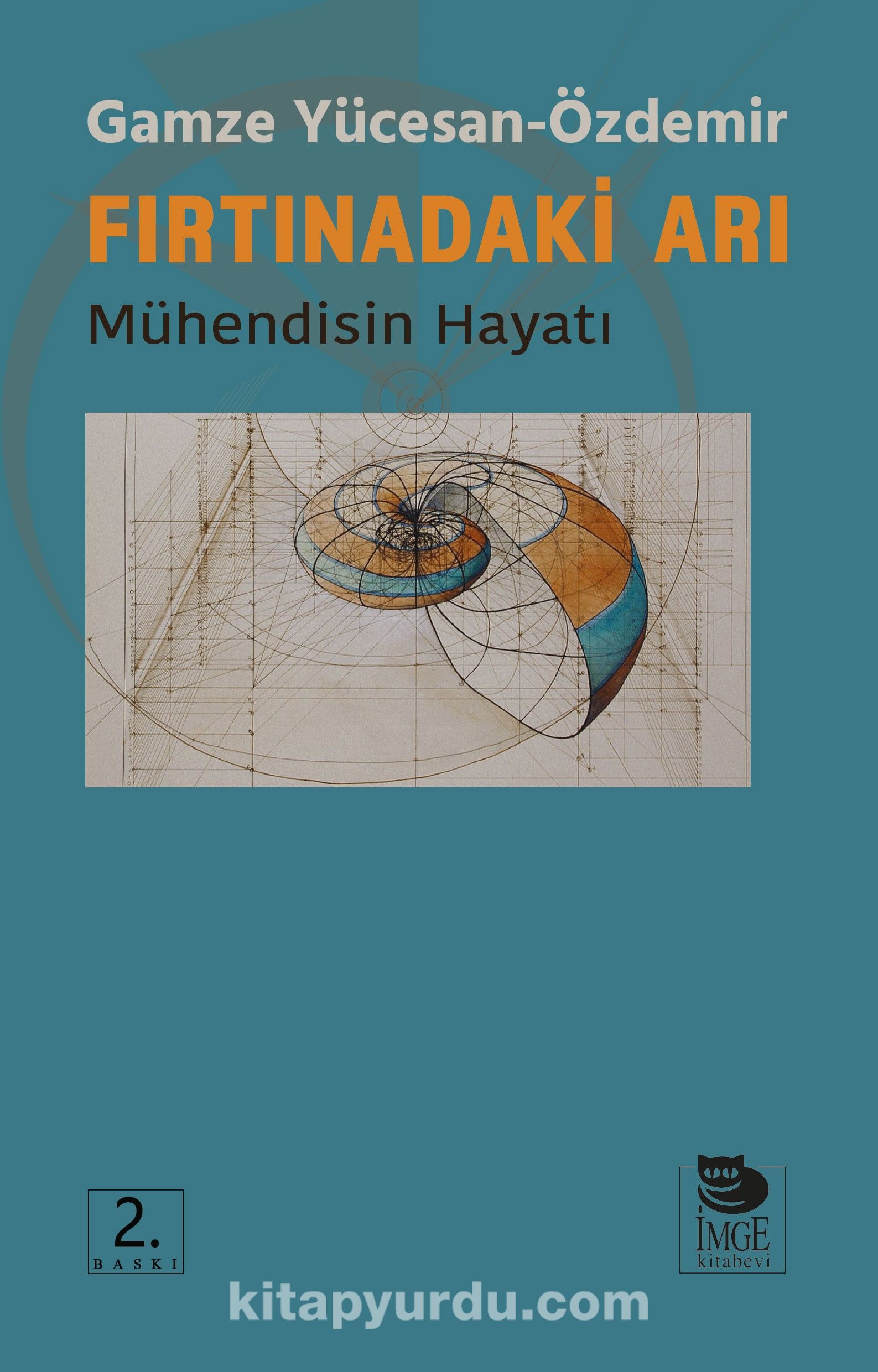 Fırtınadaki Arı & Mühendisin Hayatı