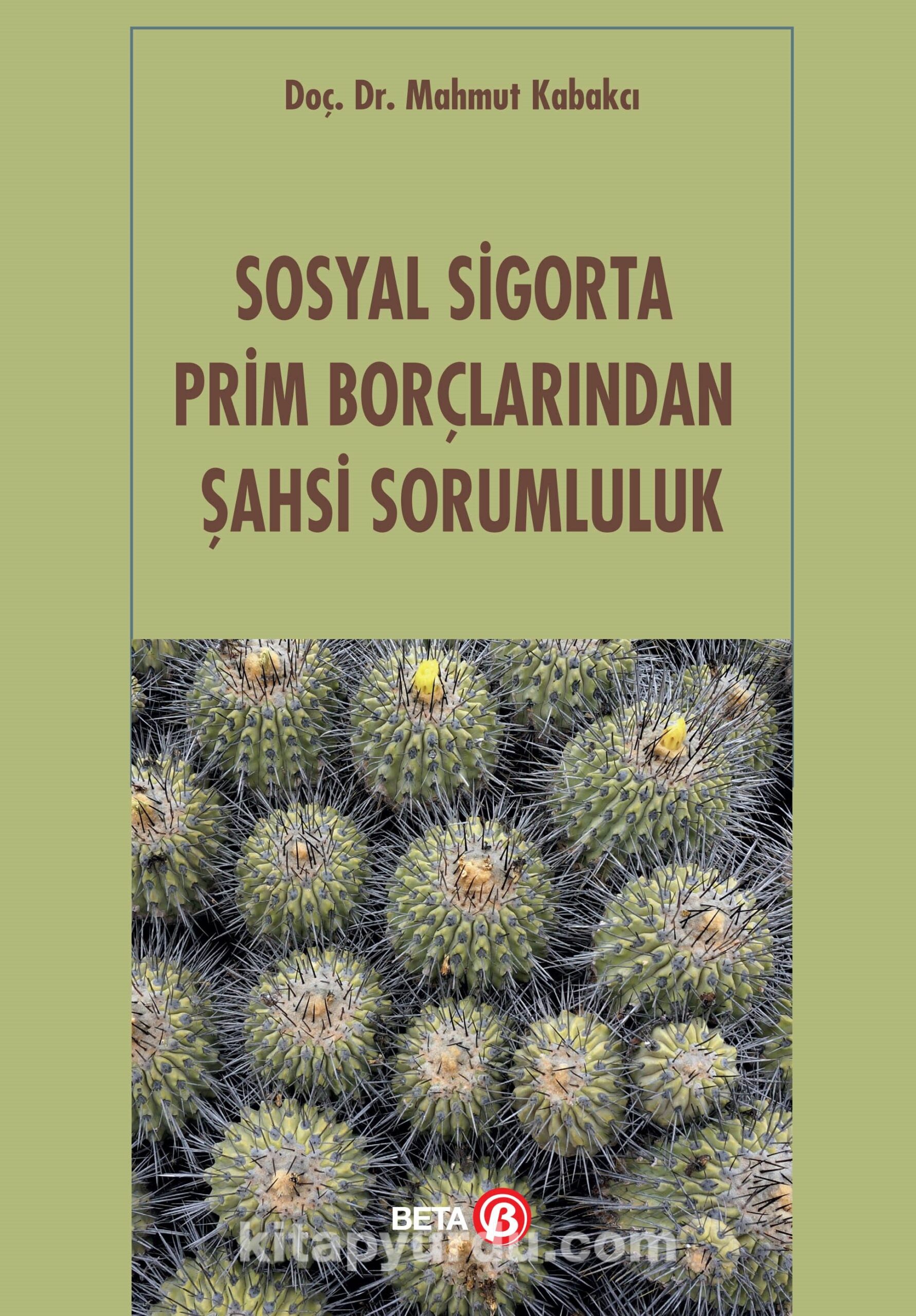 Sosyal Sigorta Prim Borçlarından Şahsi Sorumluluk