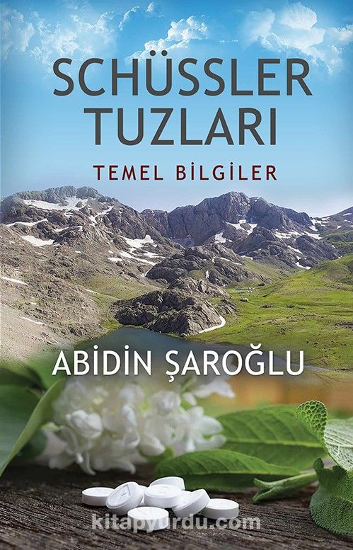 Schüssler Tuzları & Temel Bilgiler