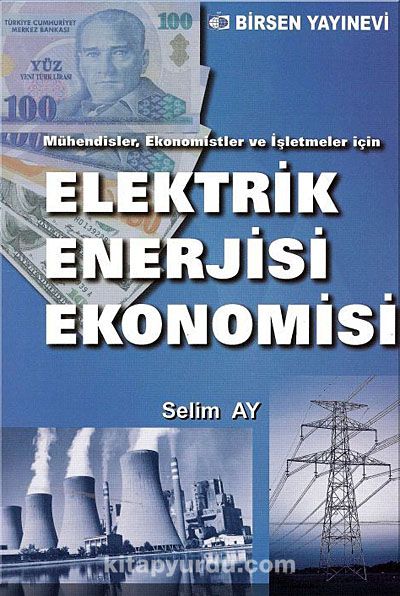 Elektrik Enerjisi Ekonomisi & Mühendisler, Ekonomistler ve İşletmeler İçin