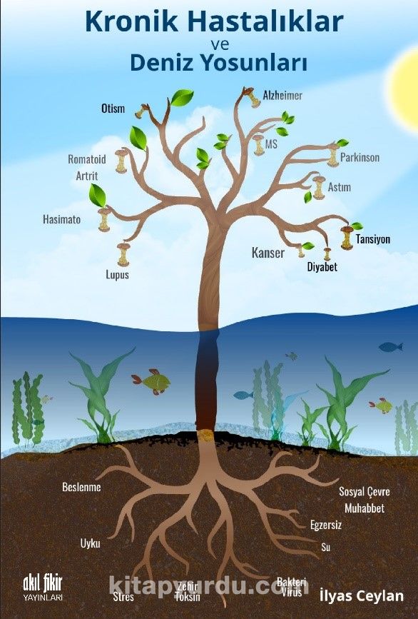 Kronik Hastalıklar ve Deniz Yosunları