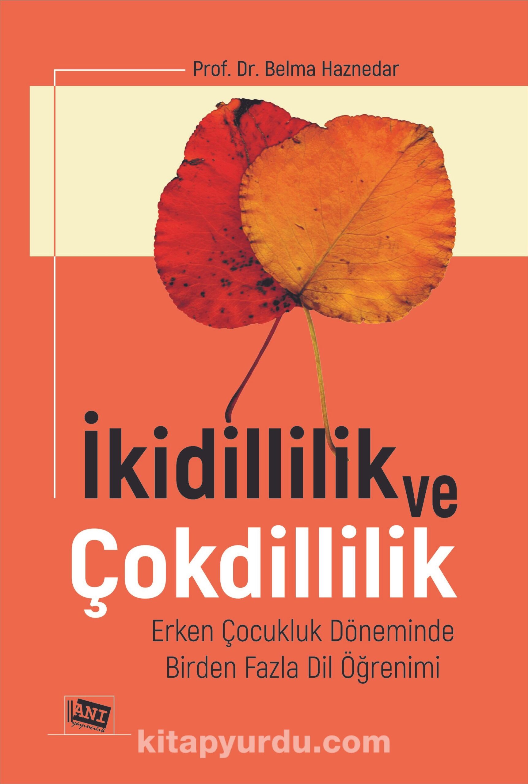 İkidillilik ve Çokdillilik