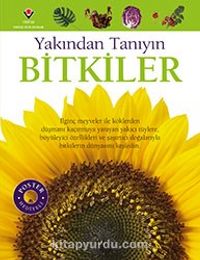 Bitkiler - Yakından Tanıyın