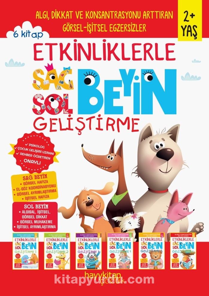 Etkinliklerle Sağ Beyin Sol Beyin Geliştirme  (2+ Yaş) (6’lı Set)