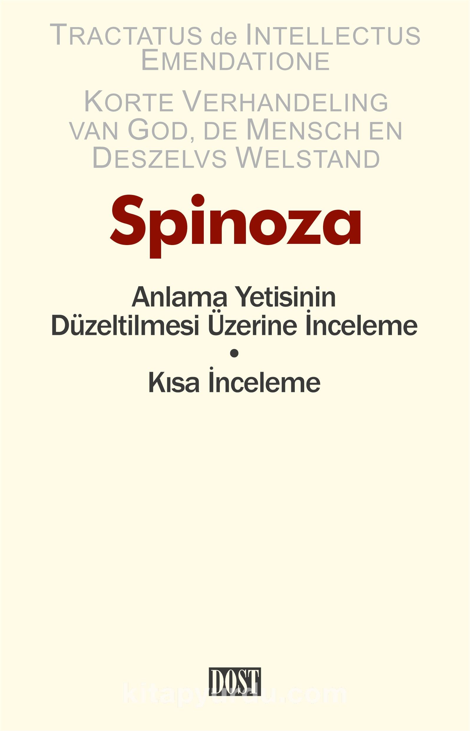 Anlama Yetisinin Düzeltilmesi Üzerine İnceleme - Kısa İnceleme