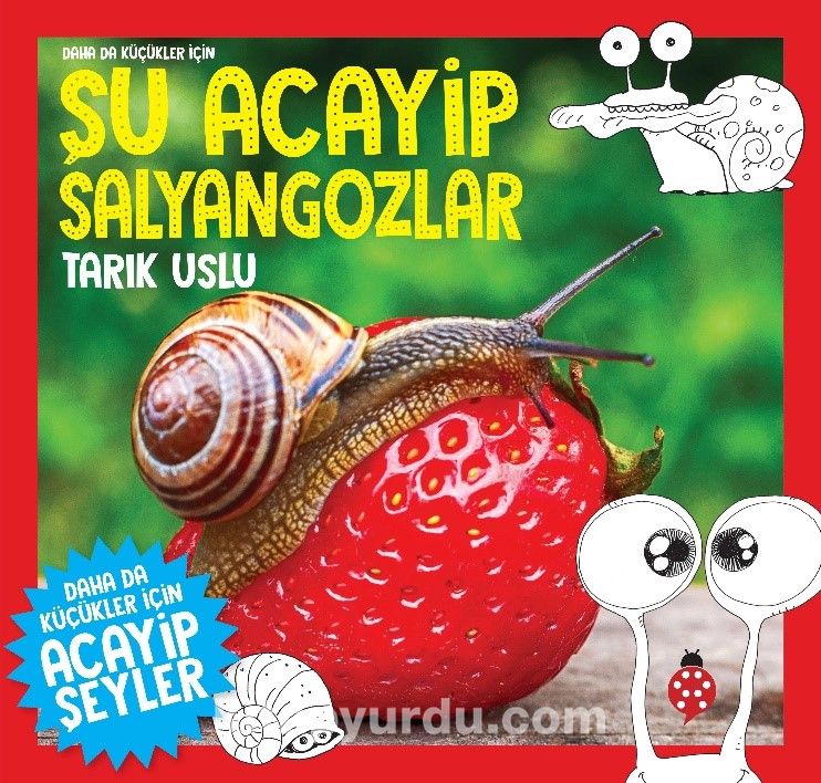 Daha da Küçükler İçin  Şu Acayip Salyangozlar