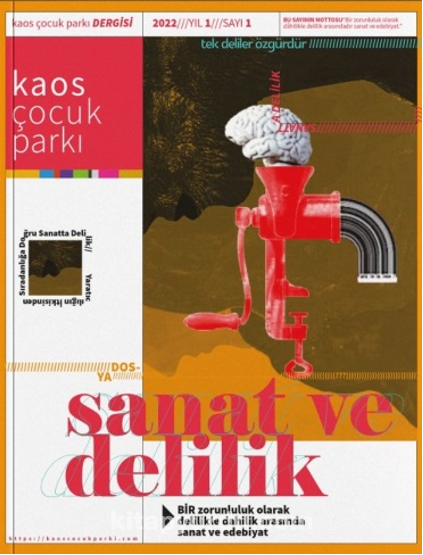 Kaos Çocuk Parkı – Sanat Ve Delilik