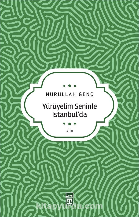 Yürüyelim Seninle İstanbul'da