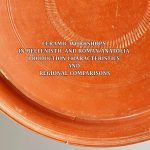 Ceramic Workshops in Hellenistic And Roman Anatolia: Production Characteristics And Regional Comparisons