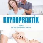 Kayropraktik