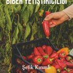 Yeni Başlayanlar İçin Biber Yetiştiriciliği