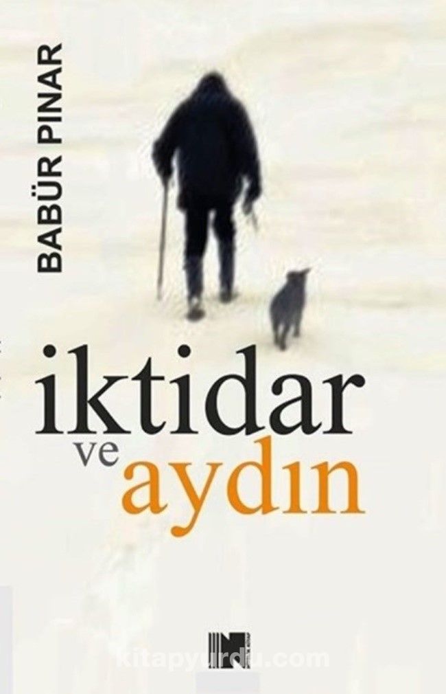 İktidar ve Aydın