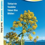 Yenebilen Yabani Otlar & Türkiye’nin Yenebilen Yabani Otsu Bitkileri